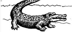 caiman